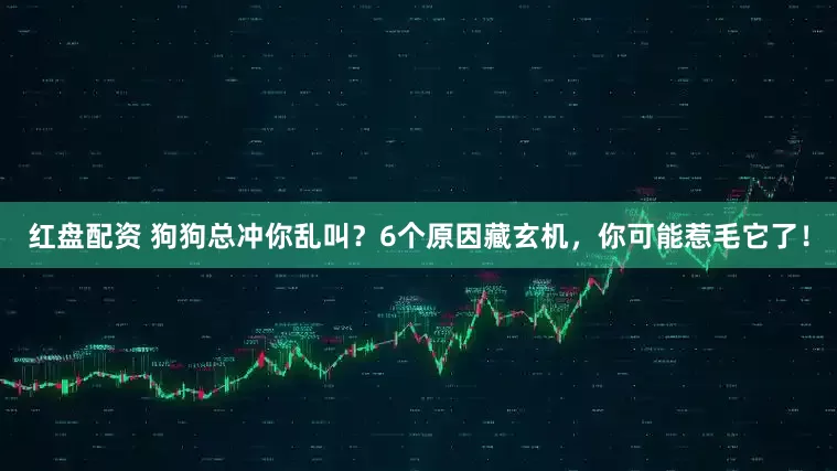 红盘配资 狗狗总冲你乱叫？6个原因藏玄机，你可能惹毛它了！